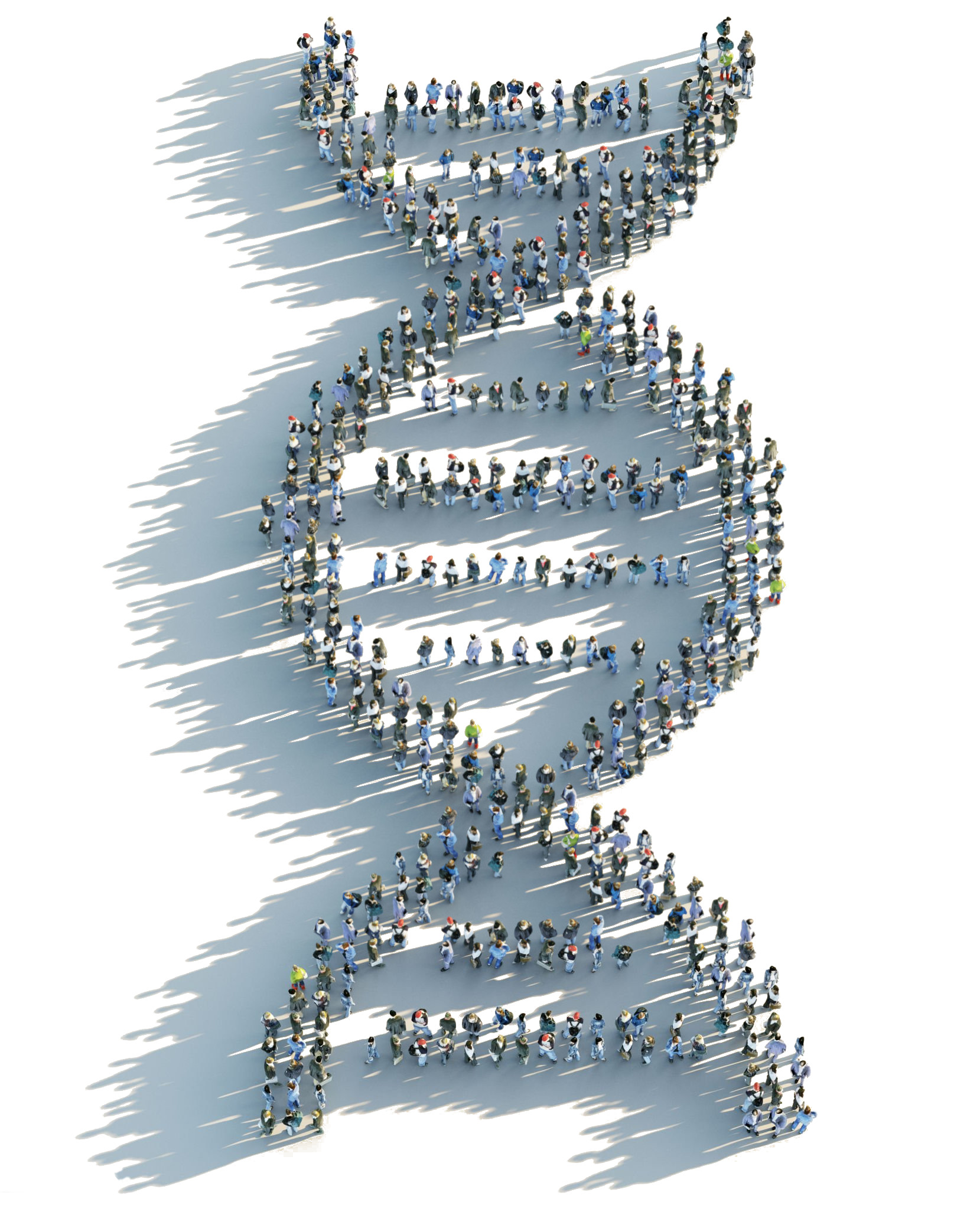 Digitally generated image